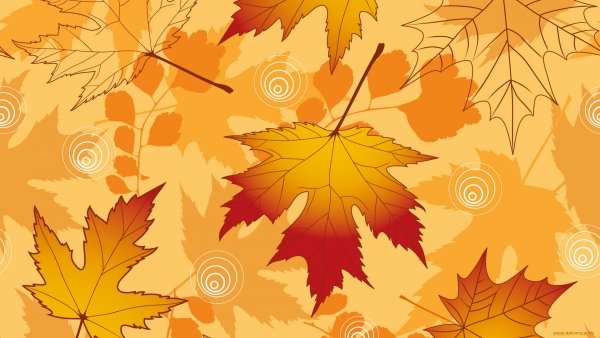 Кленовые листочки фон