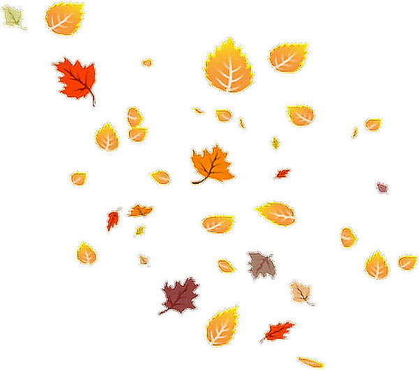 Осенний листопад на белом фоне