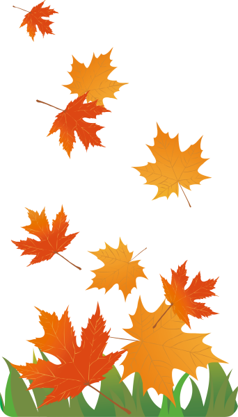 Осенние листья на прозрачном фоне