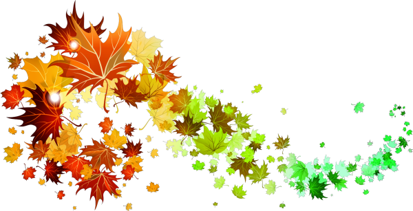 Осенние листья на прозрачном фоне