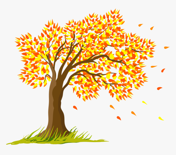 Деревья осенью