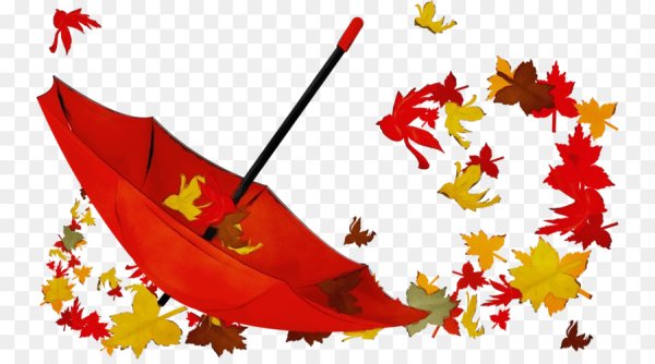 Осенний клипарт на прозрачном фоне