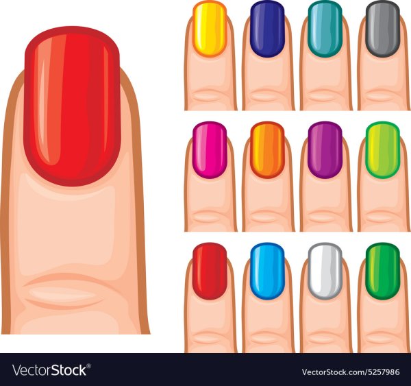 Ногти маникюр вектор