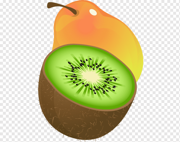 Киви фрукт вектор