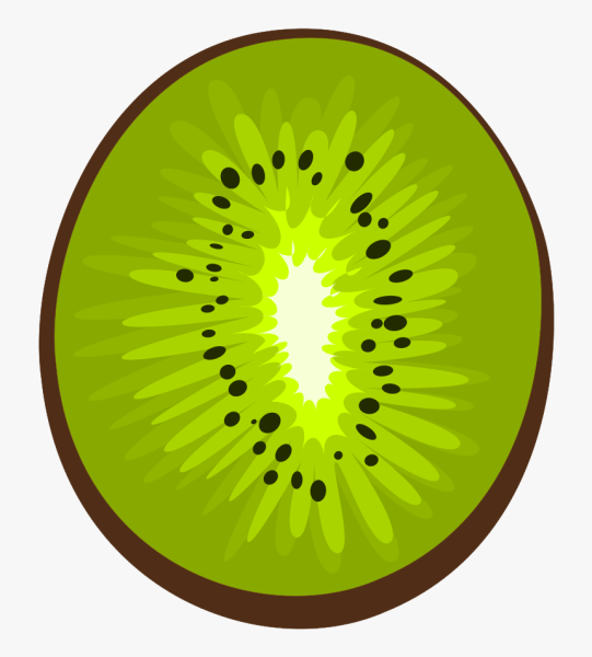 Векторные фрукты киви