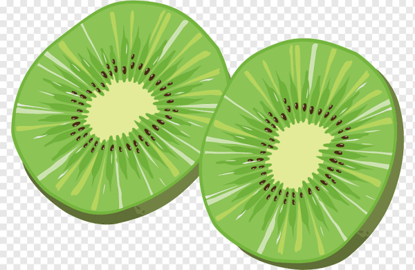 Киви вектор