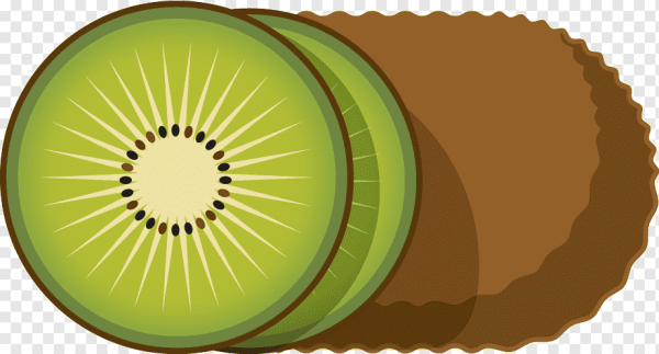 Киви фрукт вектор
