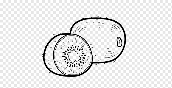 Раскраска киви фрукт