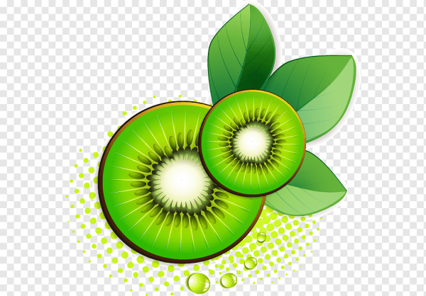 Векторные фрукты киви