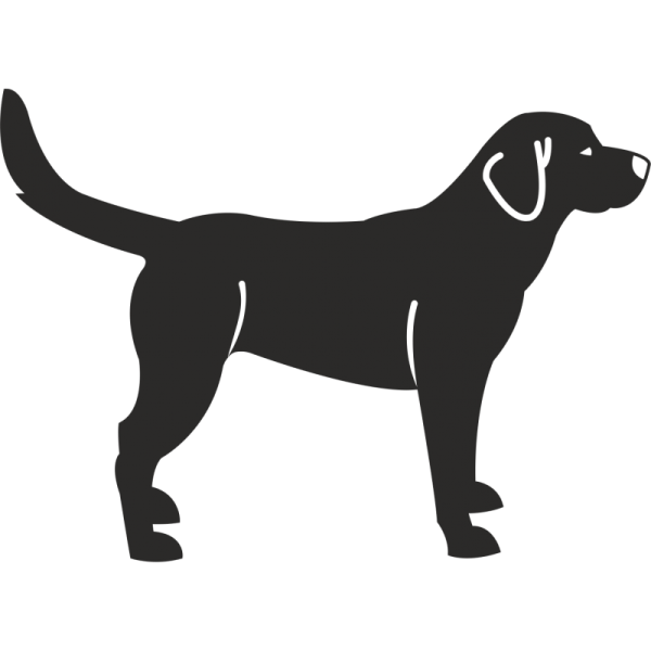 Очертание собаки