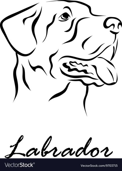 Лабрадор для выжигания