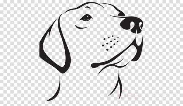 Нарисовать морду собаки