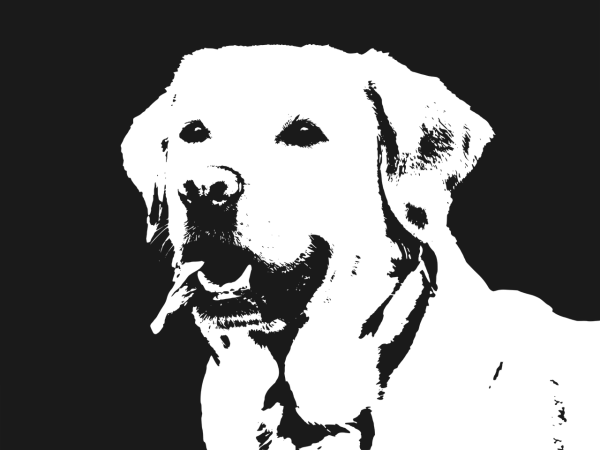 Лабрадор ретривер вектор