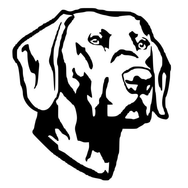 Трафарет лабрадора