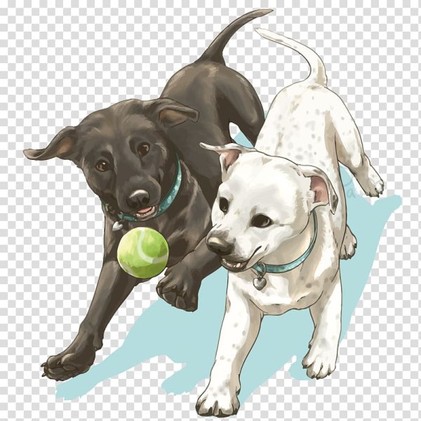 Лабрадор мультяшный