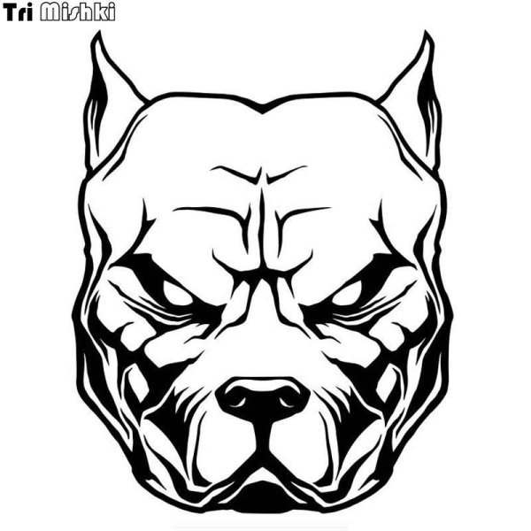 Эскизы питбуля