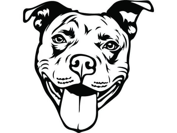 Стаффордширский терьер контур