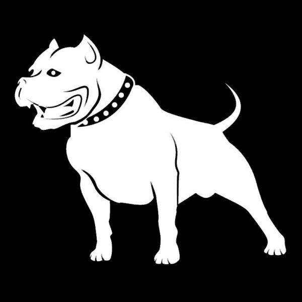Pitbull наклейка