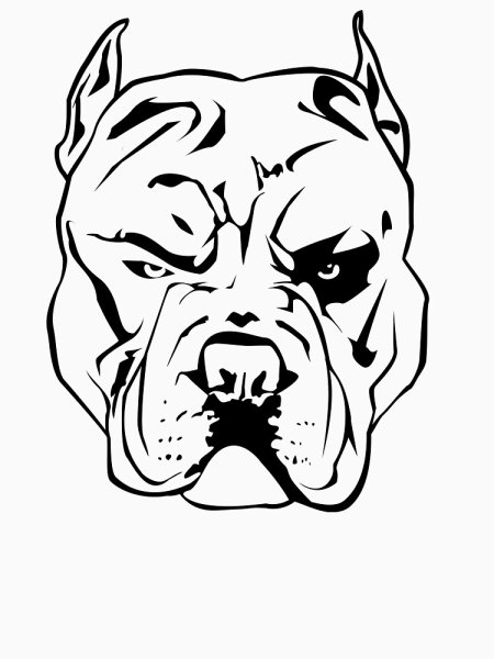 Морда питбуля тату