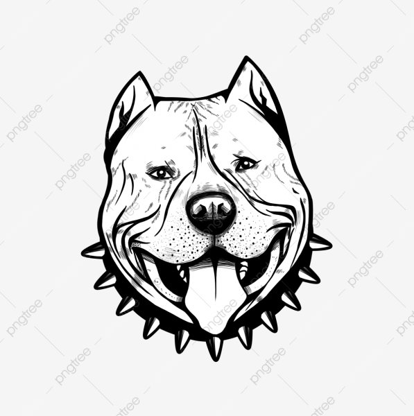 Тату на белом фоне питбуль