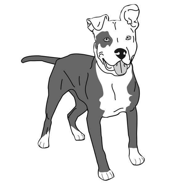 Американский стаффордширский терьер вектор