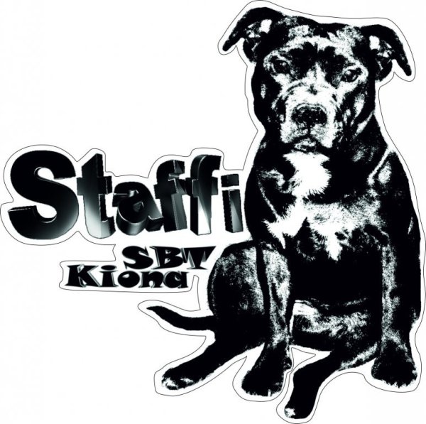 Наклейки на авто Стаффорд