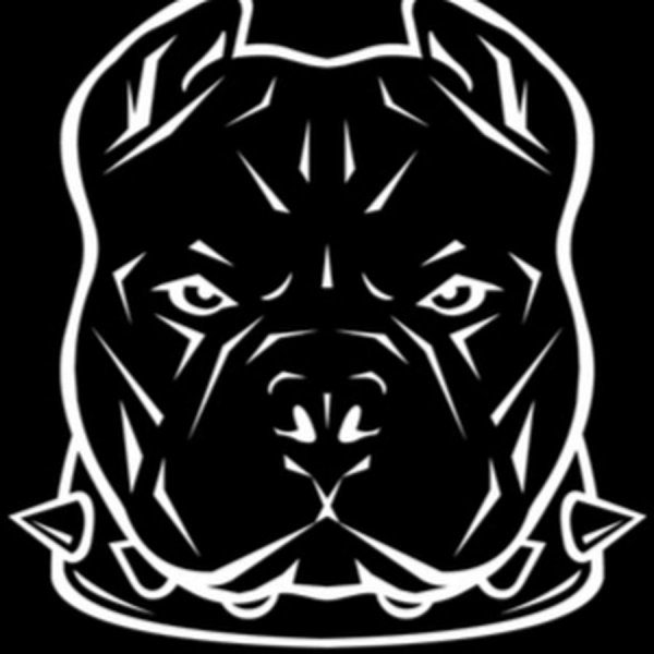 Морда питбуля на чёрно-белом