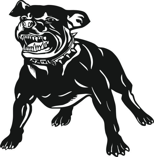 Злая собака