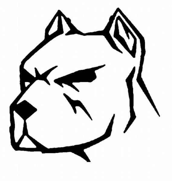 Питбуль логотип