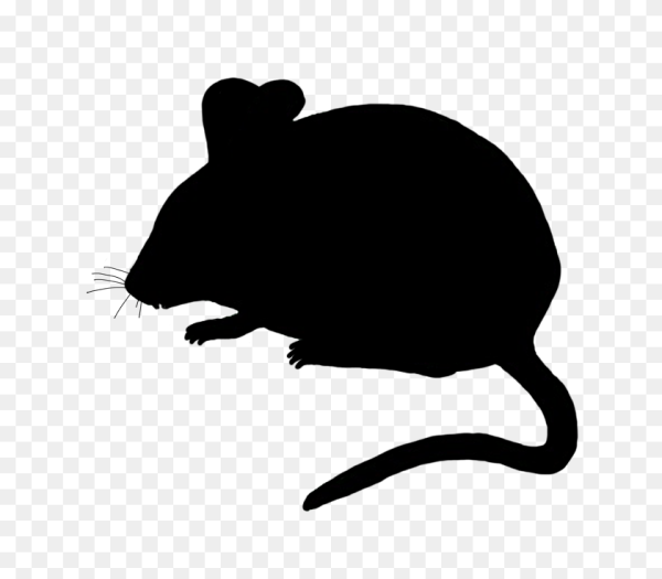 Мышь силуэт