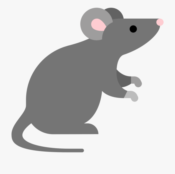 Мышка контур