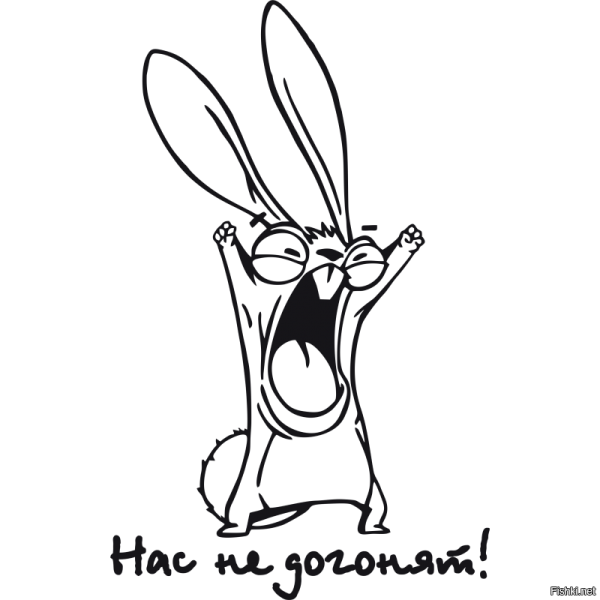 Чокнутый заяц