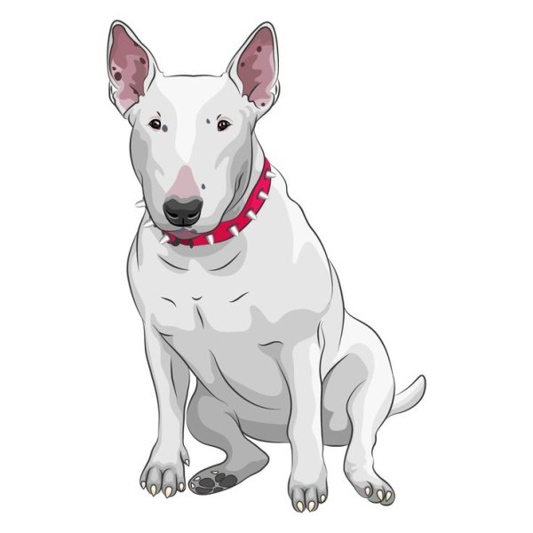 Стикеры бультерьер