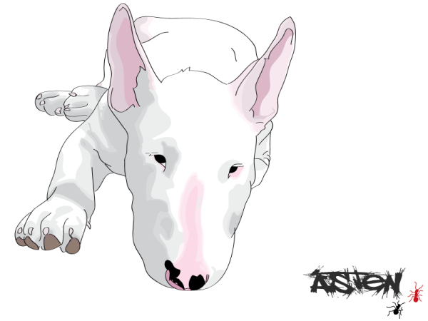 Бультерьер схематично