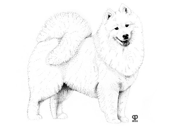 Самоед референс