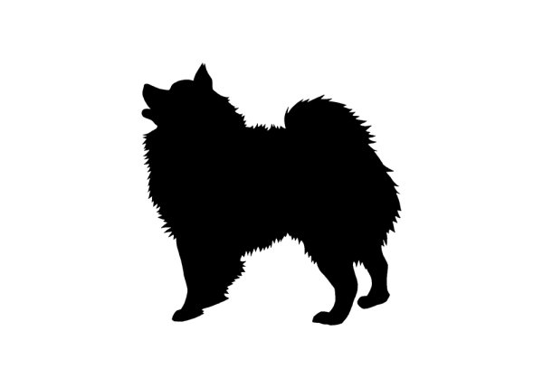 Самоед вектор