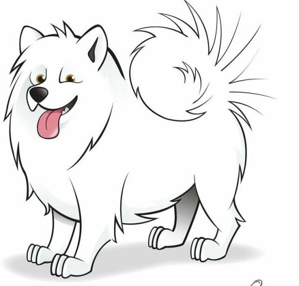 Собака самоед вектор