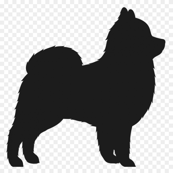 Самоеды в упряжке