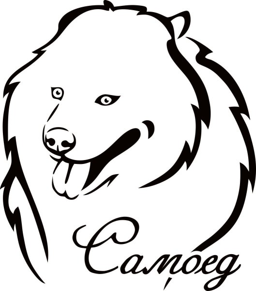 Самоед собака
