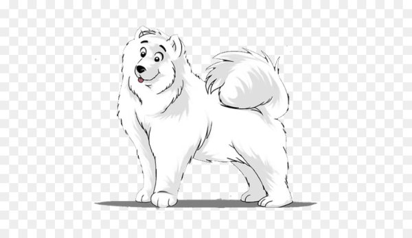 Самоед раскраска