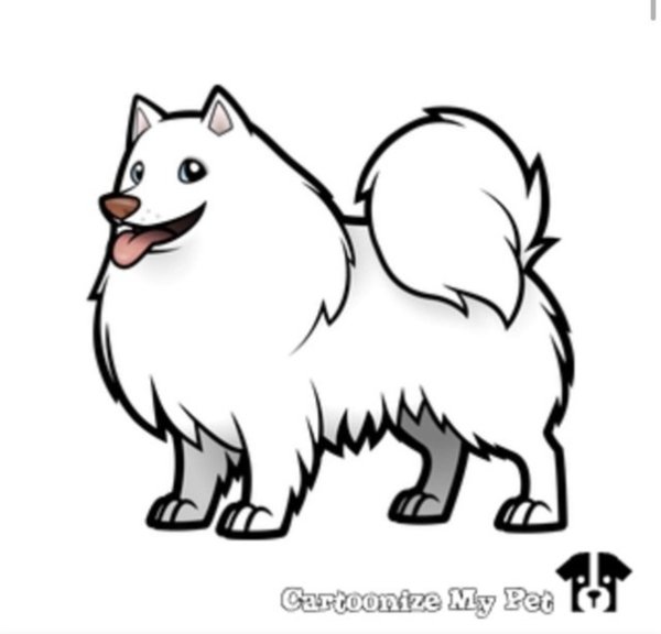 Тату Самоедская лайка