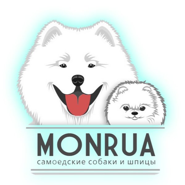 Самоедская лайка вектор