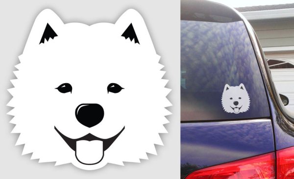 Раскраска самоед щенок