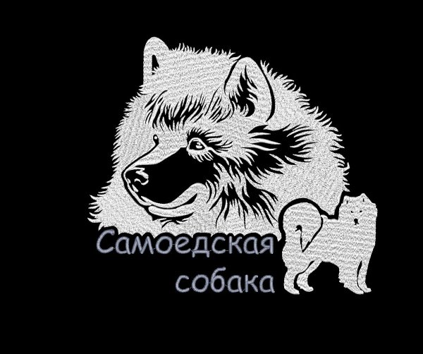 Анатомия самоеда