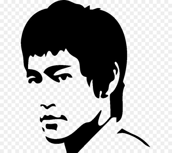 Брюс ли вектор