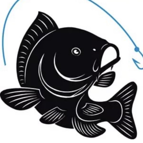 Рыба сазан вектор