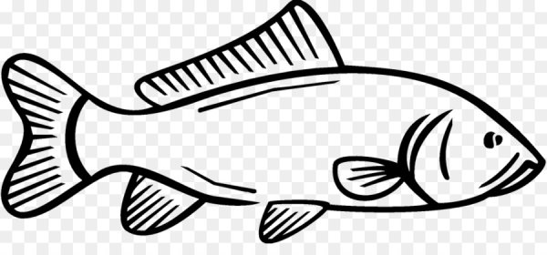 Зарисуй силуэты рыбы