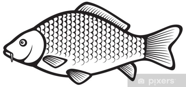 Трафарет рыбы Карп
