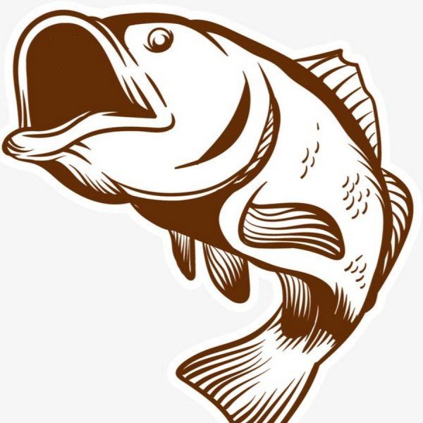 Рыба Векторная Графика