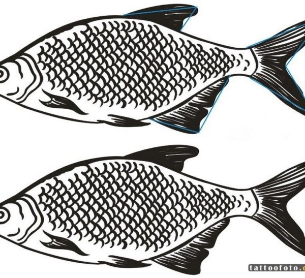 Нарисовать карася